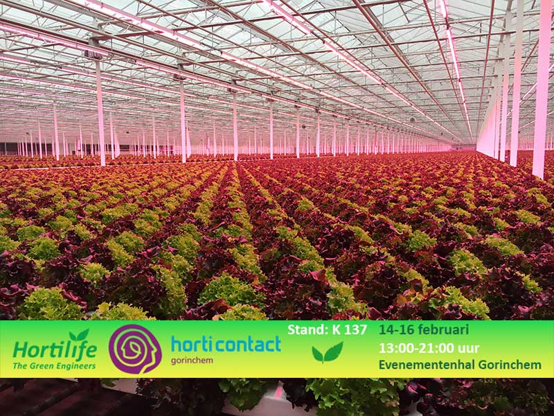 Horticontact